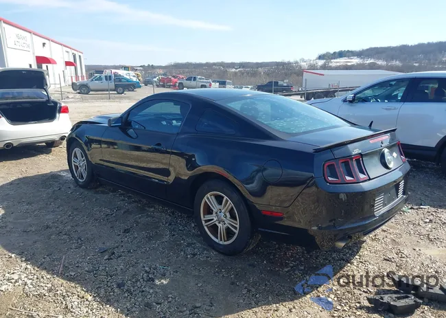 1ZVBP8AM5E5256078: 44249209