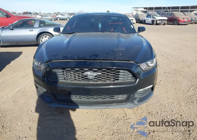 1FA6P8AMXG5323481: 44250251