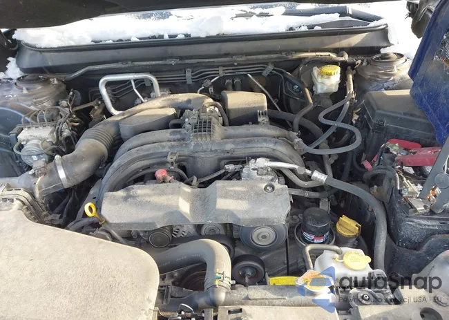 4S4BSANCXK3302551: 44250399