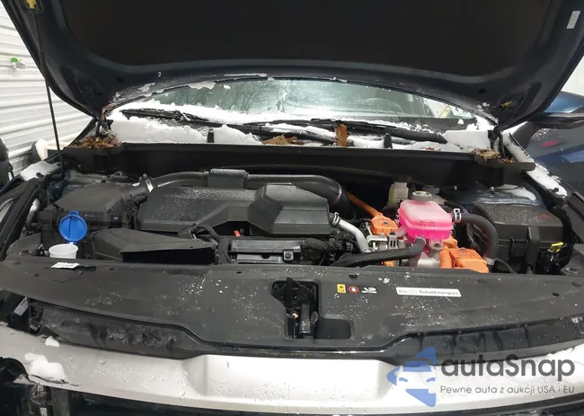 KNDPVCDG8S7217301: 44250753