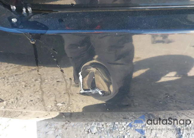 1N4AL3AP9DN546027: 44250069