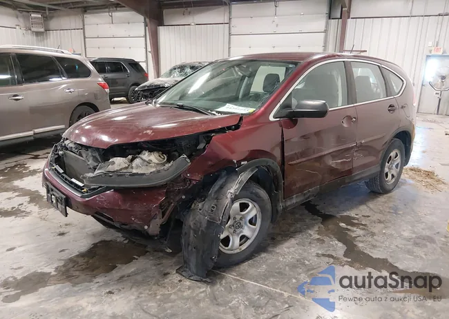 5J6RM4H31EL106331: 44251253