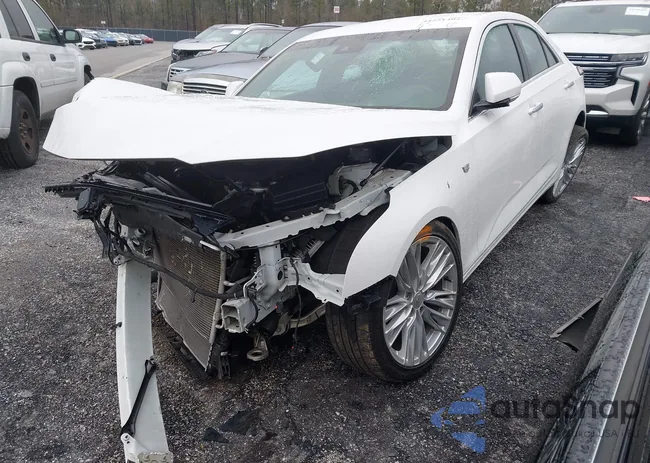 1G6DB5RK9P0149937: 44251402