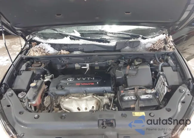 JTMBD31VX65042132: 44251464