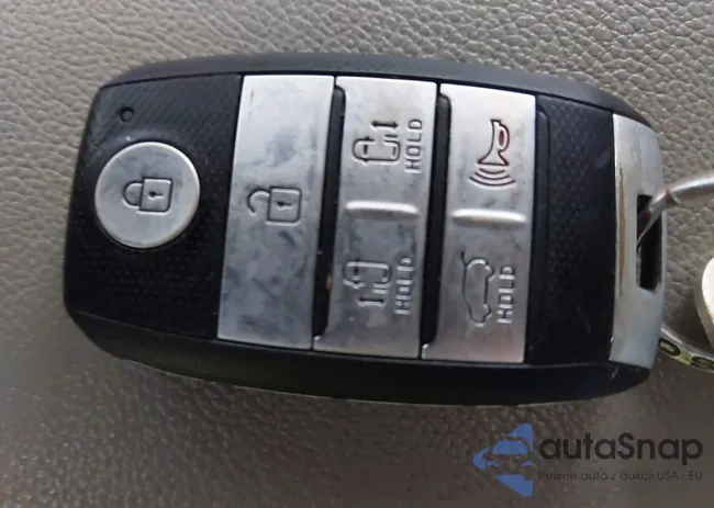 KNDMC5C16F6019961: 44251671