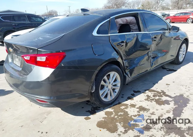 1G1ZD5ST5JF124613: 44251750