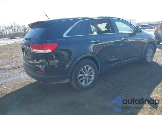 5XYPG4A37GG006604: 44250888