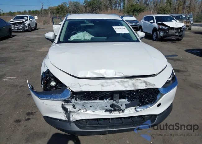 3MVDMBCM4PM506601: 44250951