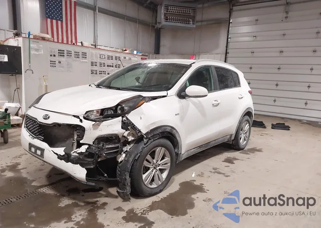 KNDPMCACXH7099751: 44251109