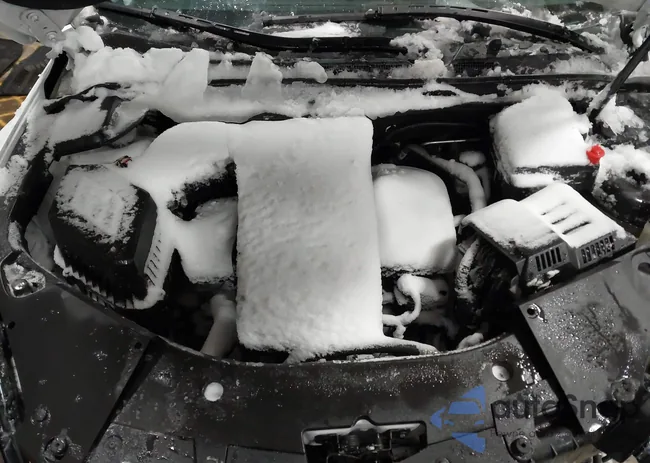 2GNFLEEK0H6304366: 44252256