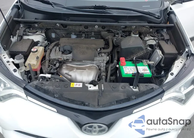 JTMZFREV4HJ144820: 44252531