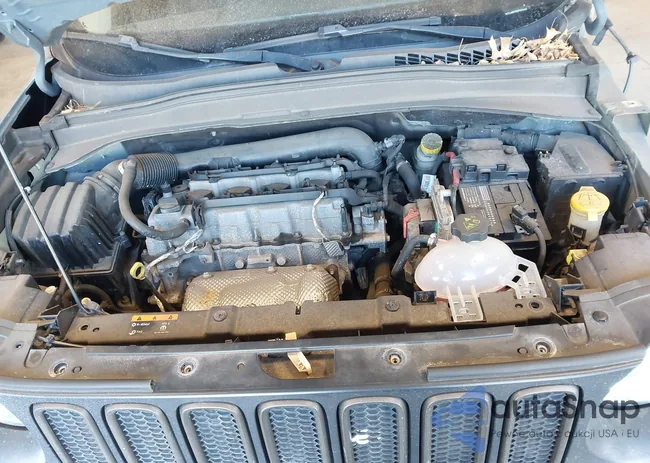 ZACCJBBT6GPE03448: 44252647