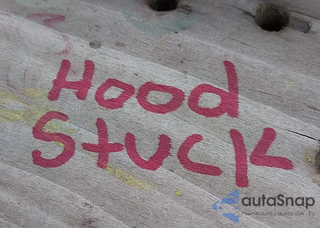 NM0LS7DN4BT049836: 44252653