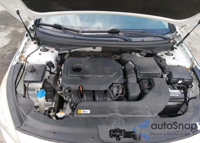 5NPE24AF4GH276012: 44252111