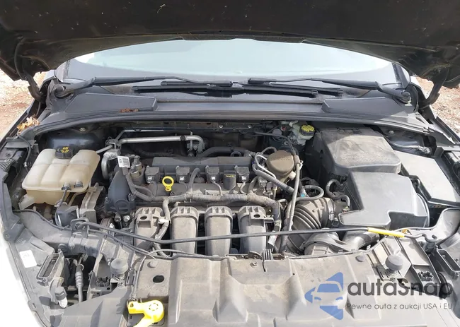 1FADP3F2XFL296049: 44253814