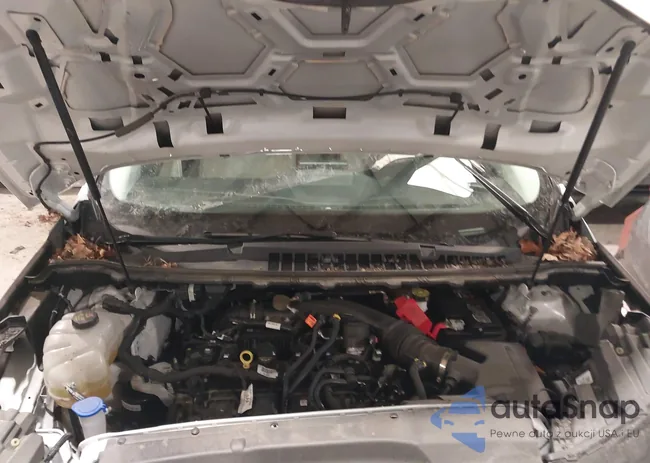 2FMPK4K9XRBA60192: 44252934