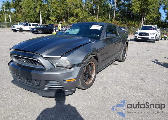 1ZVBP8AM5D5252658: 44253098