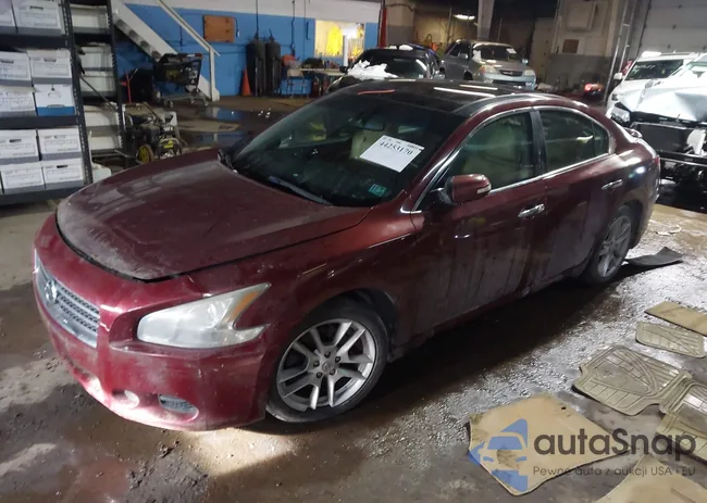 1N4AA51E09C812229: 44253170