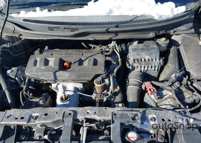 19XFB2F80CE383706: 44254491