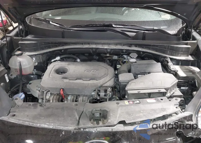 KNDP6CACXN7004028: 44253875