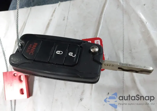 ZACCJBBT1FPC10848: 44253918