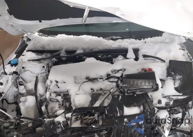 19XFL2G81RE022294: 44254197