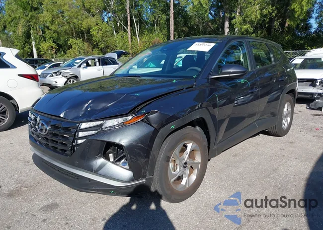 5NMJA3DE1RH346306: 44255308