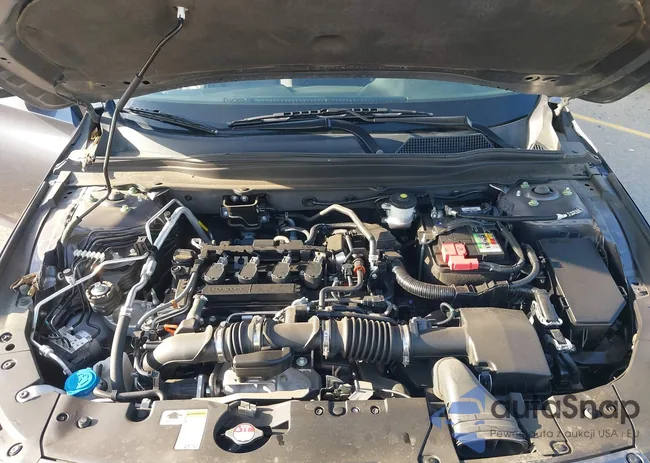 1HGCV1F13MA008809: 44255428