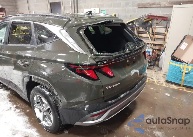 5NMJBCDE1SH601667: 44255451