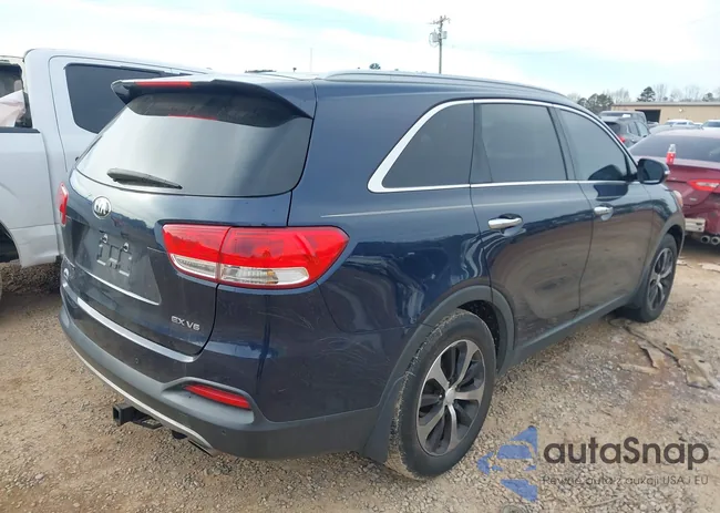 5XYPH4A51HG296435: 44255547