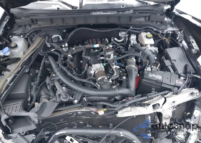 1FMEE8BP2RLA54780: 44255593