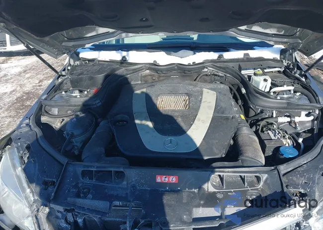 WDDGF81X39F225634: 44255648