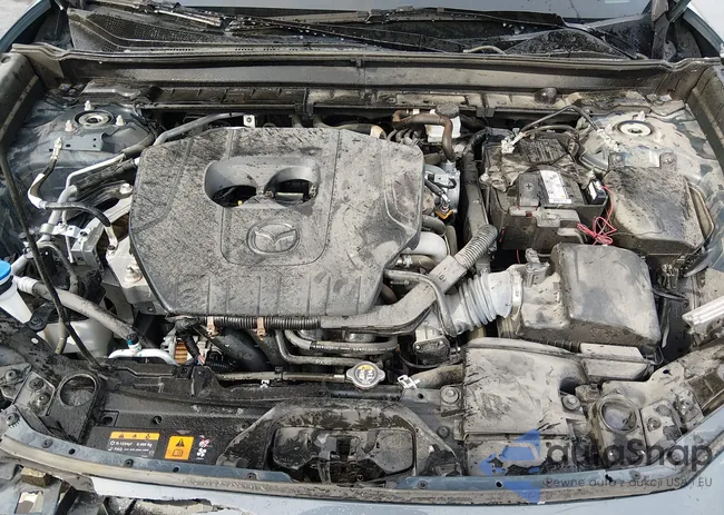 3MVDMBCM7PM559342: 44255699