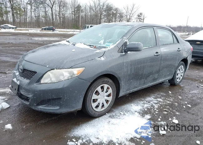 2T1BU4EEXAC468835: 44255028