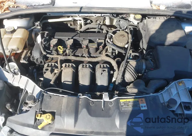 1FADP3F22DL230737: 44255059