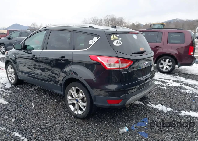 1FMCU9J91FUC20067: 44256301