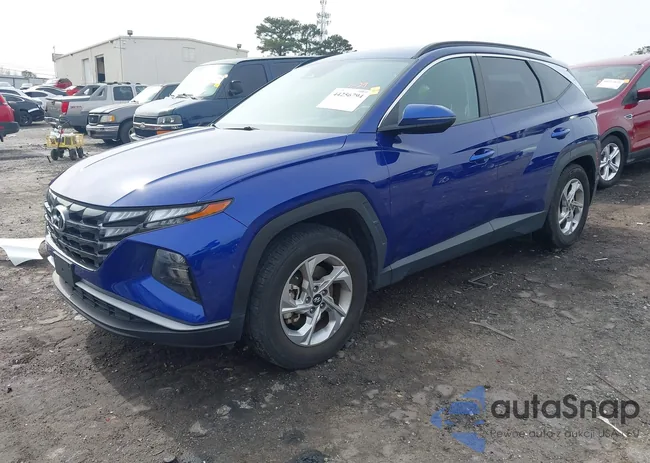 5NMJB3AEXPH197084: 44256794