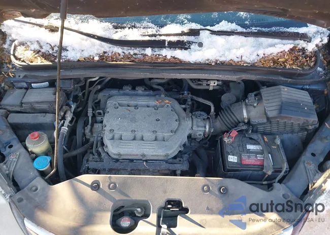 5FNRL38659B401664: 44255949