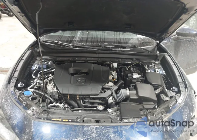 3MVDMBAM6PM525010: 44257262