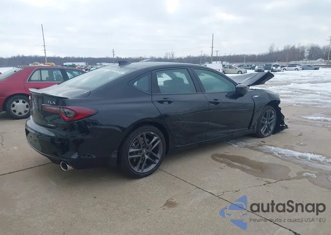 19UUB6F59SA003284: 44257429