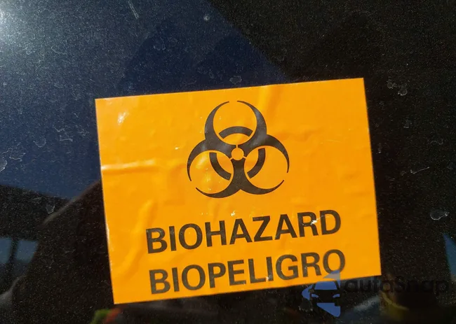 JTEBU11F08K022629: 44257155