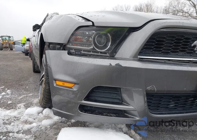 1ZVBP8AMXE5276665: 44258232