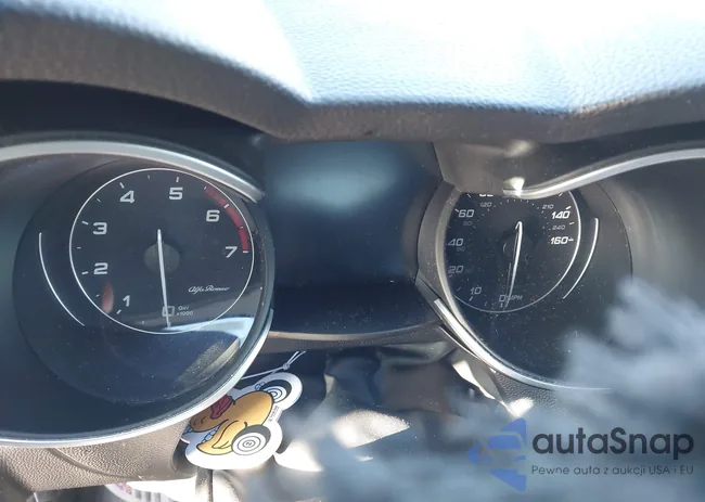 ZASFAKPNXJ7B59015: 44258589