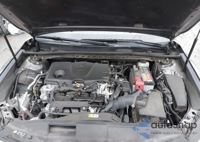 4T1F11BK7LU011906: 44259371