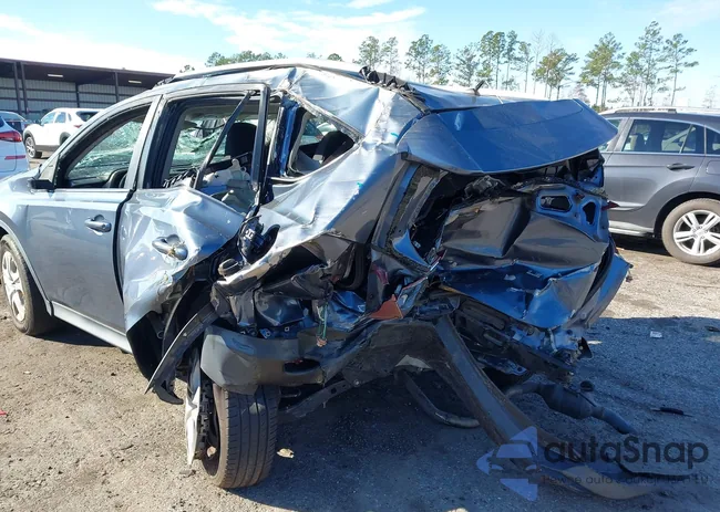 JTMZFREVXED041377: 44260366