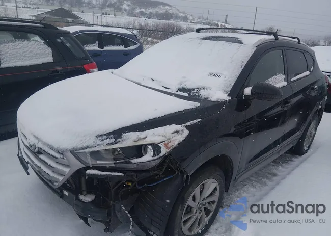 KM8J3CA49HU314695: 44260406