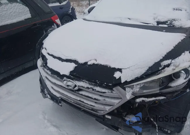 KM8J3CA49HU314695: 44260406