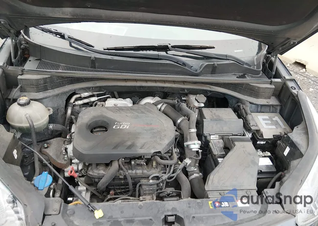 KNDPR3A64L7780296: 44260596