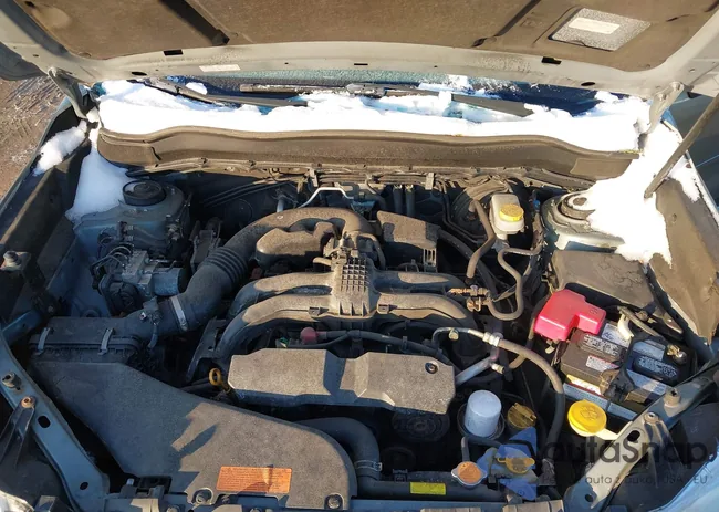 JF2SJAFCXFH561735: 44259945