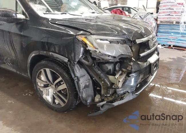 5FNYF6H91HB013926: 44261307